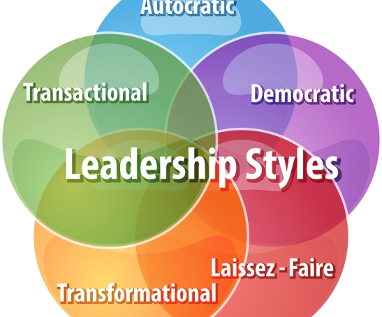 business strategy concept infographic diagram illustration of leadership styles