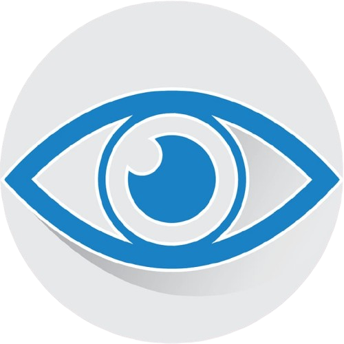 vision-removebg-preview